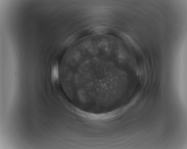 X0000113950046200910021514