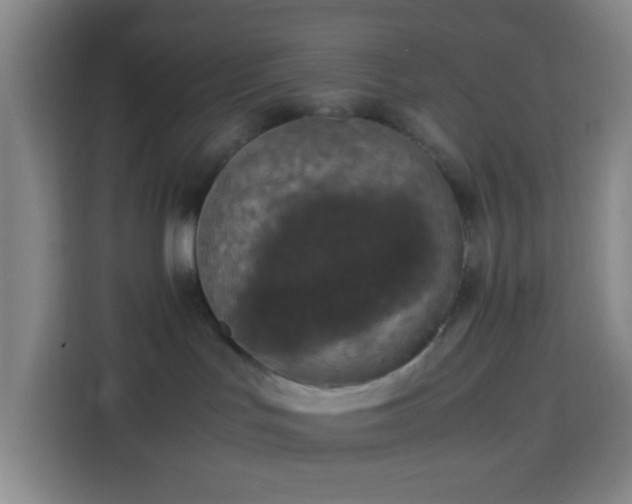 X0000113950047200910021514