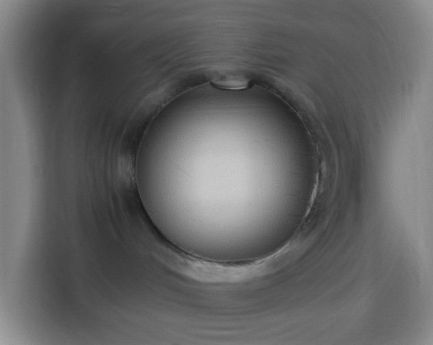X0000113950048200910021514