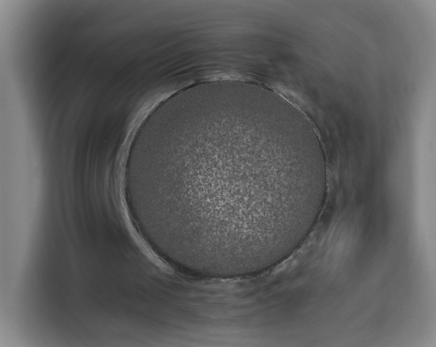 X0000113950049200910021514