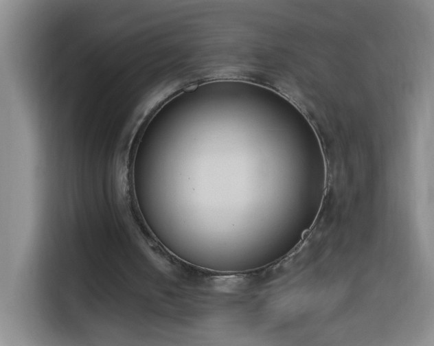 X0000113950050200910021514