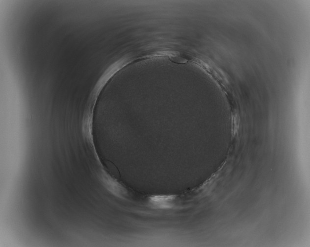 X0000113950051200910021514