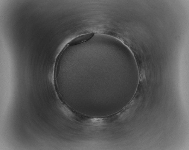 X0000113950052200910021514