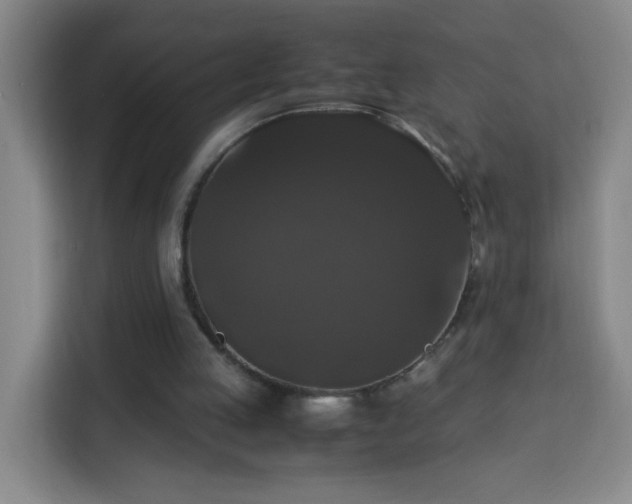 X0000113950053200910021514