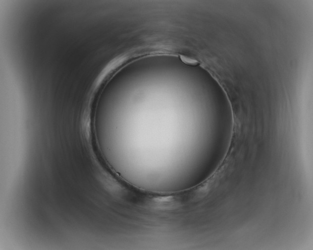 X0000113950054200910021514