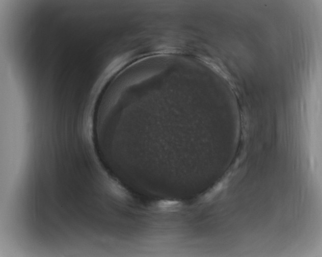 X0000113950055200910021514