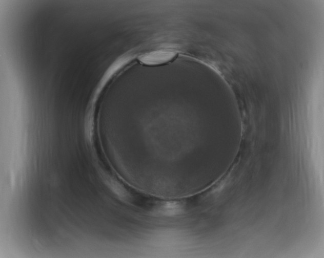 X0000113950056200910021514