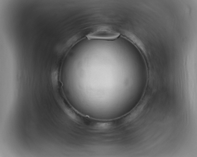 X0000113950057200910021514