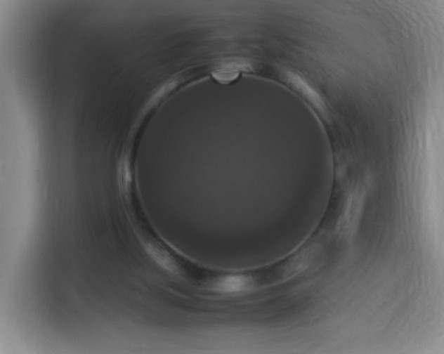 X0000113950059200910021514