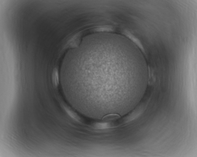 X0000113950061200910021514