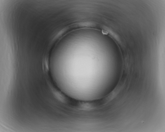 X0000113950062200910021514