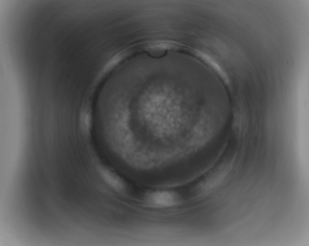 X0000113950063200910021514