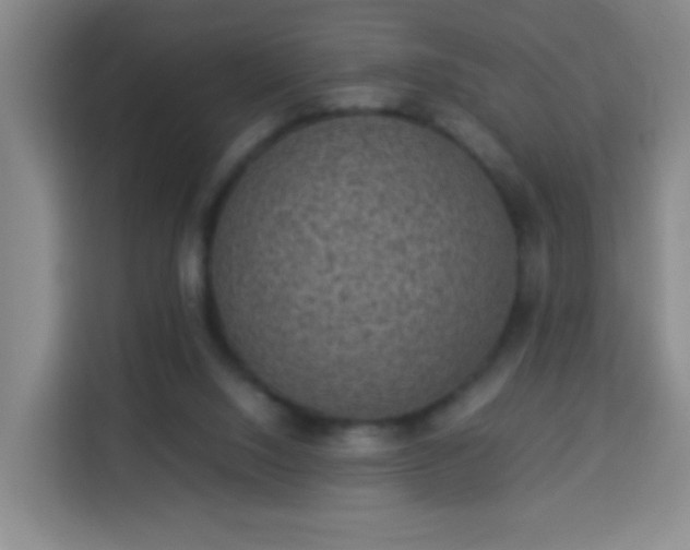 X0000113950064200910021514