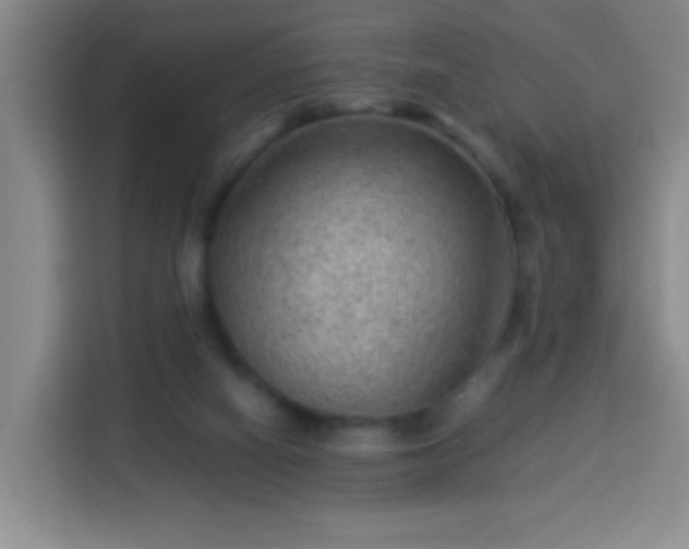 X0000113950066200910021514
