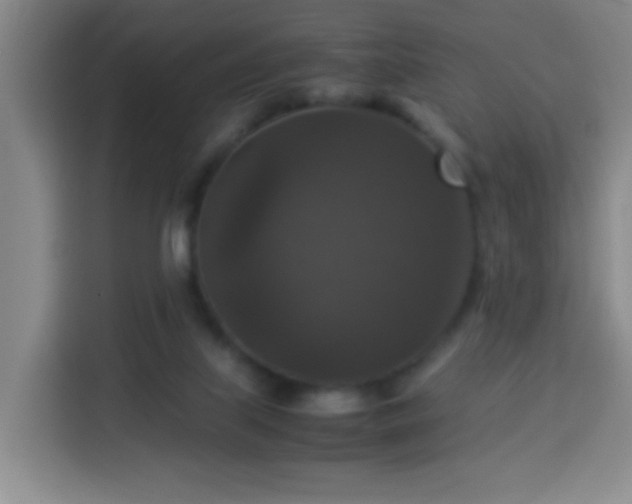 X0000113950067200910021514