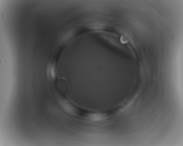 X0000113950069200910021514