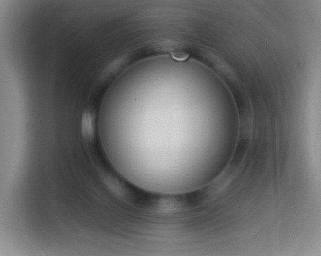 X0000113950070200910021514