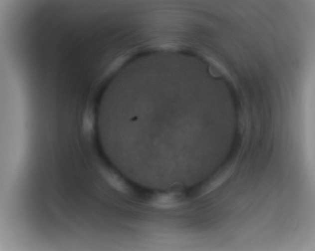 X0000113950072200910021514