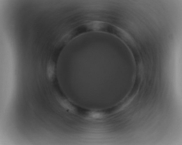 X0000113950073200910021514
