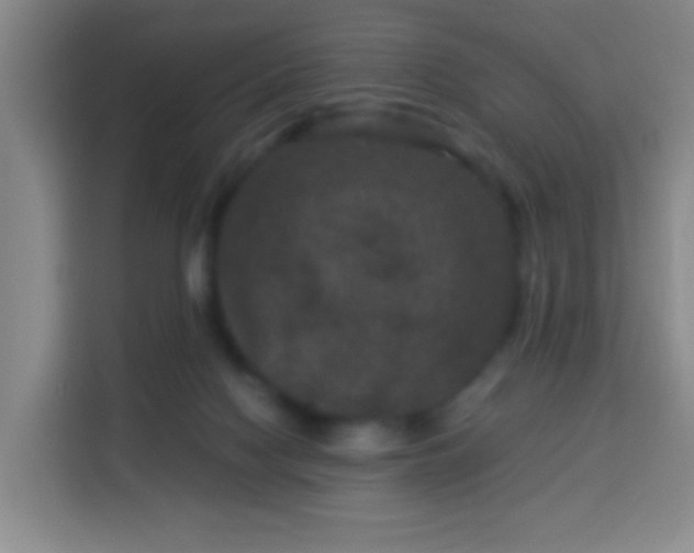 X0000113950074200910021514
