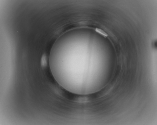 X0000113950075200910021514