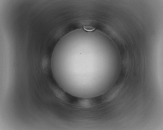 X0000113950079200910021514
