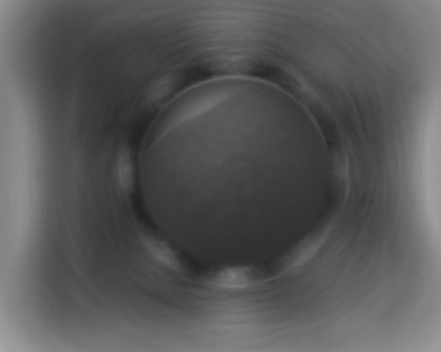 X0000113950080200910021514