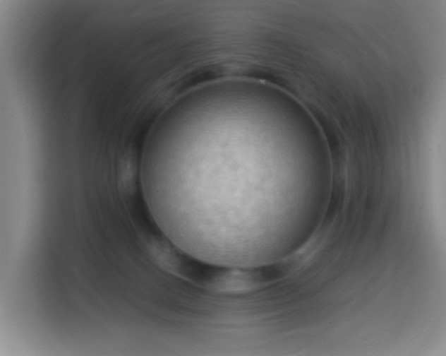 X0000113950082200910021514