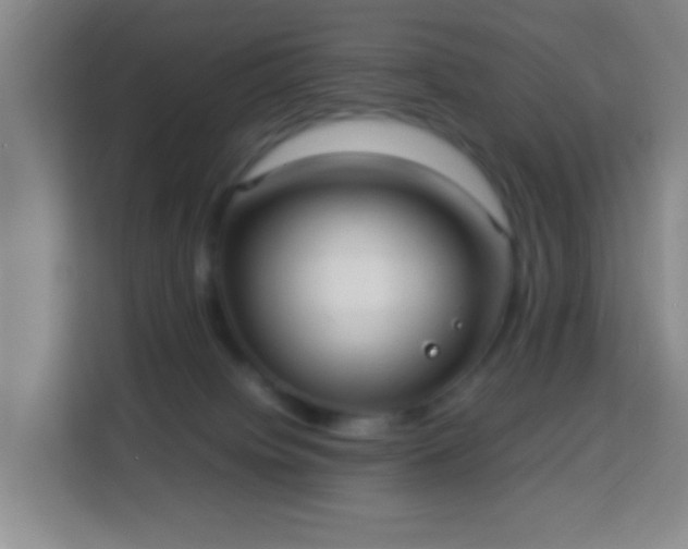 X0000113950084200910021514