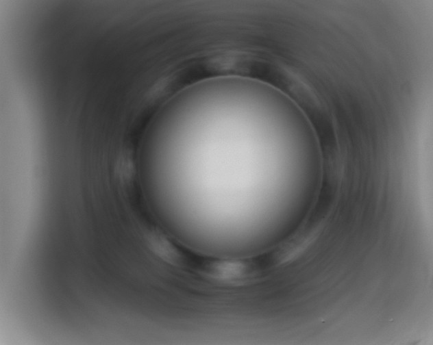 X0000113950085200910021514