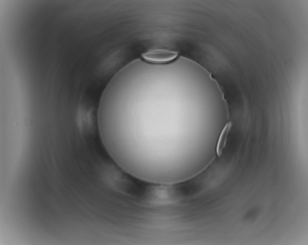 X0000113950088200910021514