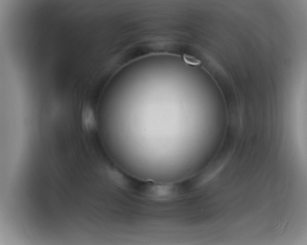 X0000113950089200910021514