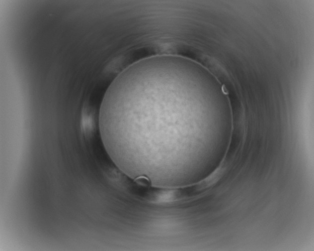 X0000113950090200910021514