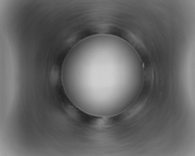 X0000113950092200910021514
