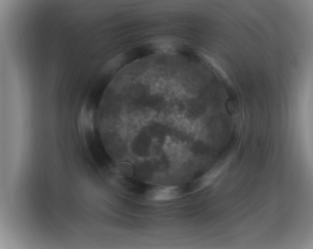 X0000113950093200910021514