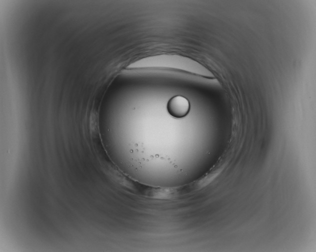 X0000113950096200910021514