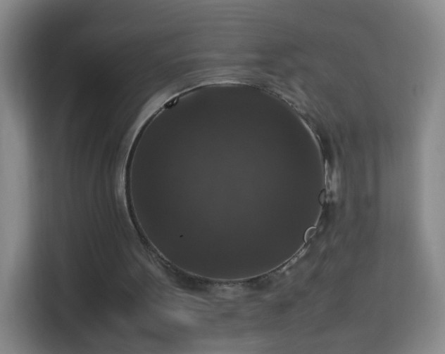 X0000113950099200910021514