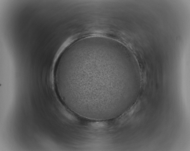 X0000113950102200910021514