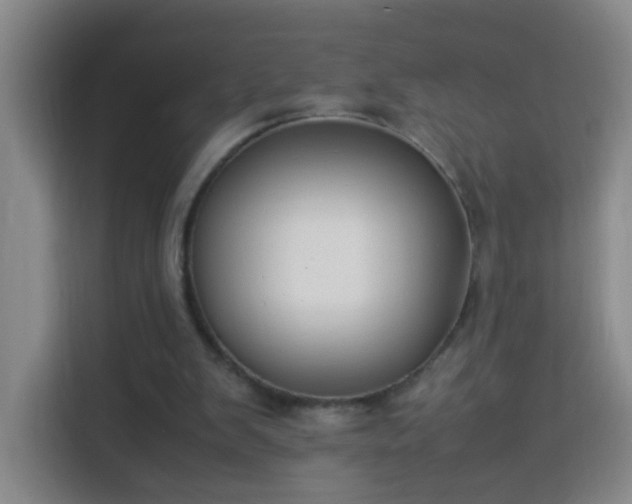X0000113950103200910021514