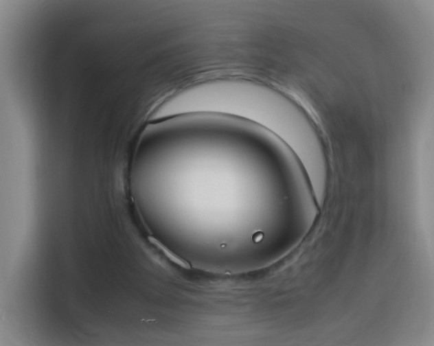 X0000113950105200910021514