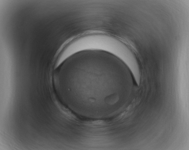 X0000113950108200910021513