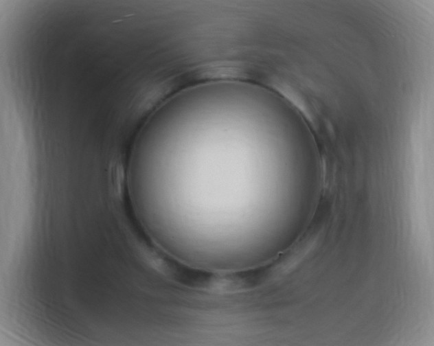 X0000113950109200910021513