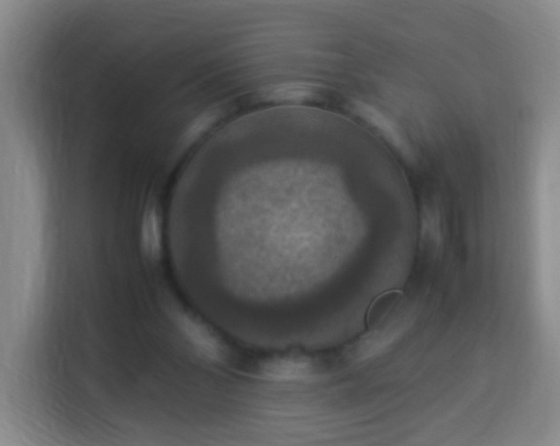 X0000113950110200910021513