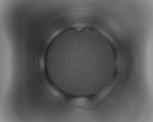 X0000113950112200910021513