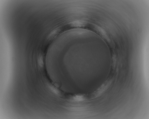 X0000113950114200910021513