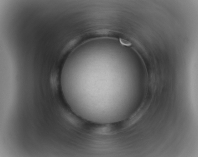 X0000113950116200910021513