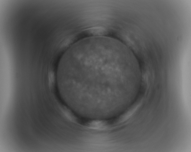 X0000113950117200910021513