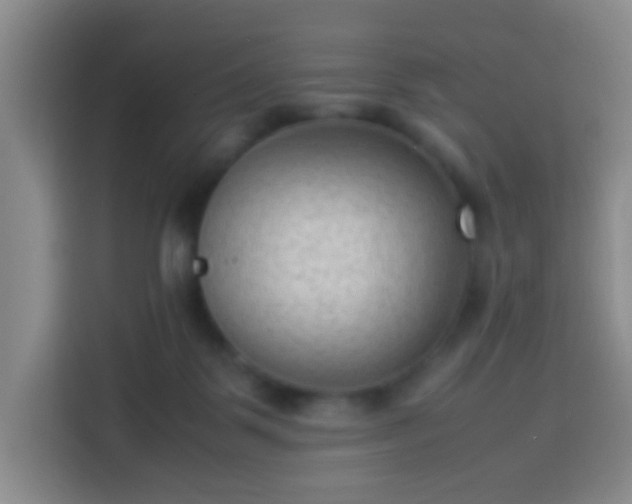 X0000113950123200910021513