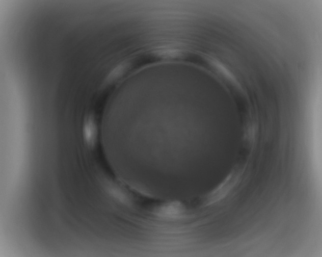 X0000113950124200910021513