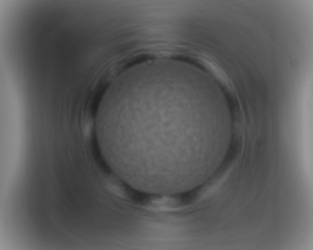 X0000113950125200910021513